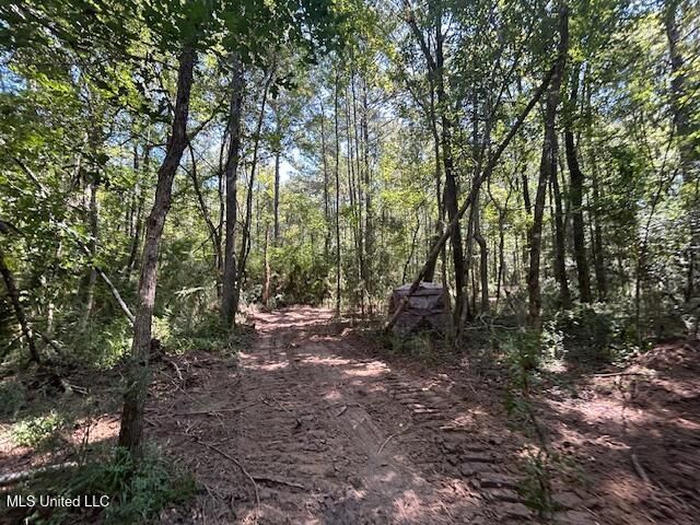 0 Charlie Rhodus Rd, Magnolia, MS 39652