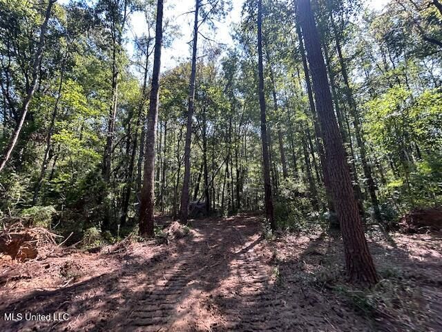 0 Charlie Rhodus Rd, Magnolia, MS 39652