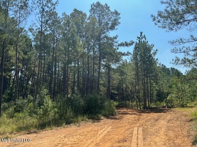 0 Charlie Rhodus Rd, Magnolia, MS 39652