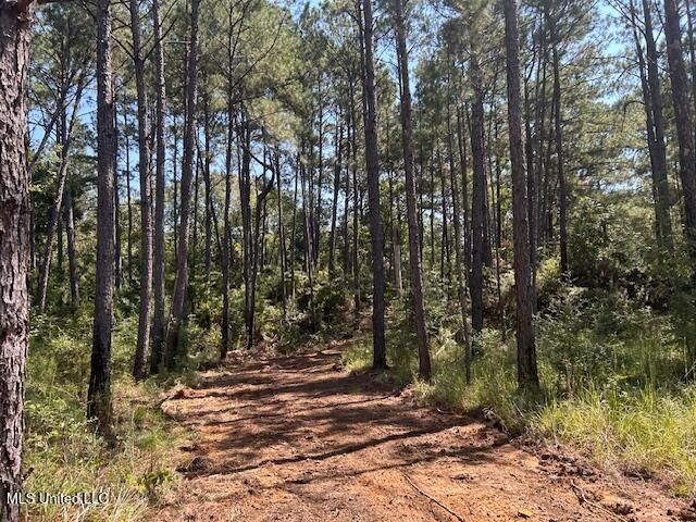 0 Charlie Rhodus Rd, Magnolia, MS 39652