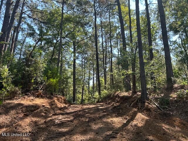 0 Charlie Rhodus Rd, Magnolia, MS 39652