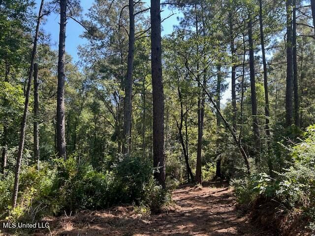 0 Charlie Rhodus Rd, Magnolia, MS 39652