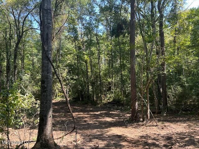 0 Charlie Rhodus Rd, Magnolia, MS 39652