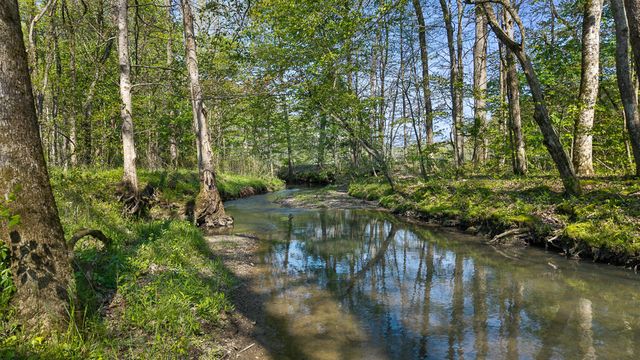 310 Old Horton Road SE, Cleveland, TN 37323
