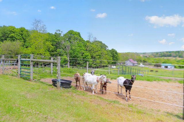 23783 Caves Road, Gambier, OH 43022