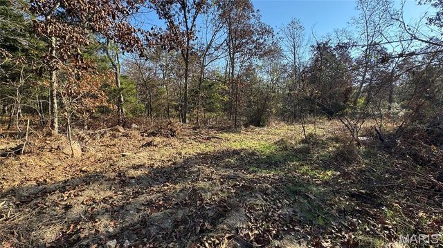 1312 Buck Mountain Road, Doe Run, MO 63637