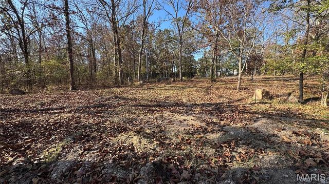 1312 Buck Mountain Road, Doe Run, MO 63637