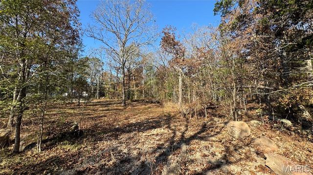 1312 Buck Mountain Road, Doe Run, MO 63637