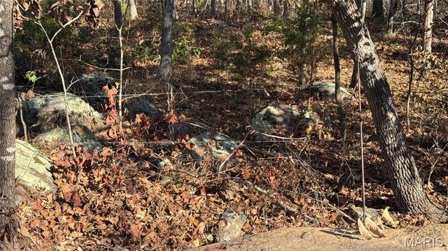 1312 Buck Mountain Road, Doe Run, MO 63637