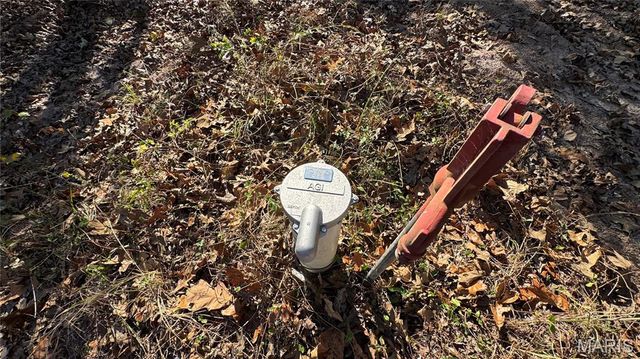 1312 Buck Mountain Road, Doe Run, MO 63637