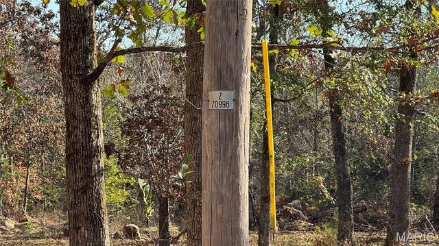 1312 Buck Mountain Road, Doe Run, MO 63637