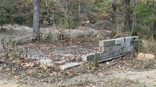 1312 Buck Mountain Road, Doe Run, MO 63637