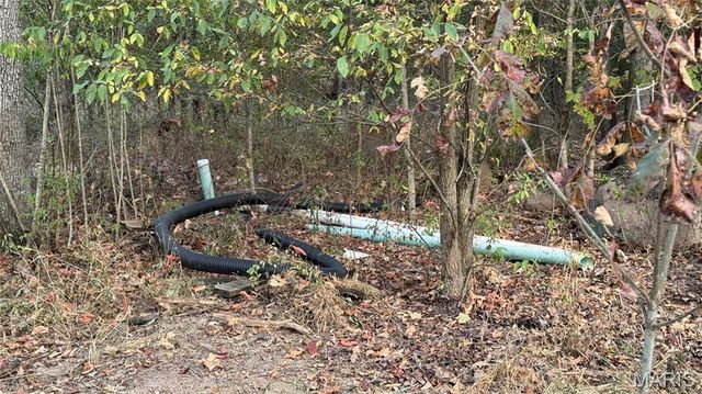 1312 Buck Mountain Road, Doe Run, MO 63637