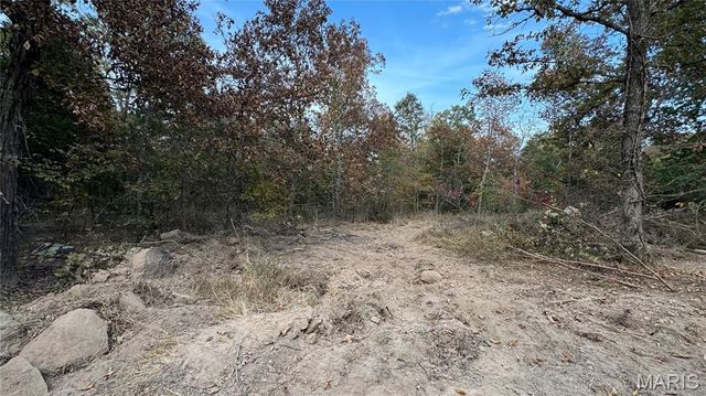 1312 Buck Mountain Road, Doe Run, MO 63637