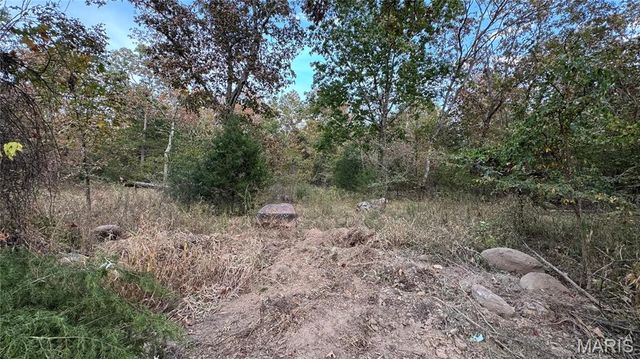 1312 Buck Mountain Road, Doe Run, MO 63637