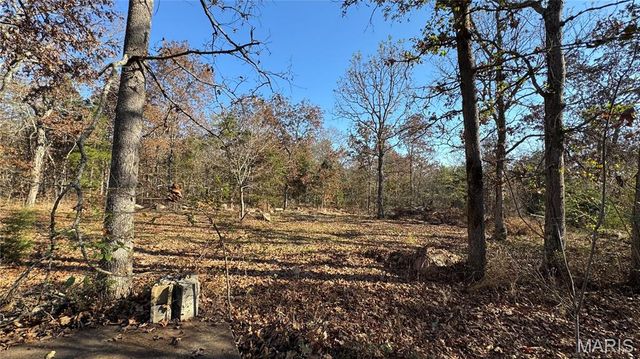 1312 Buck Mountain Road, Doe Run, MO 63637