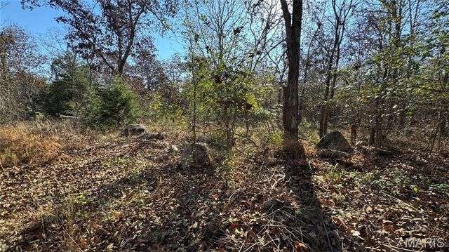 1312 Buck Mountain Road, Doe Run, MO 63637