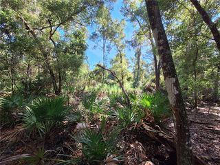 TBD 00 NW 47TH STREET, Chiefland, FL 32626