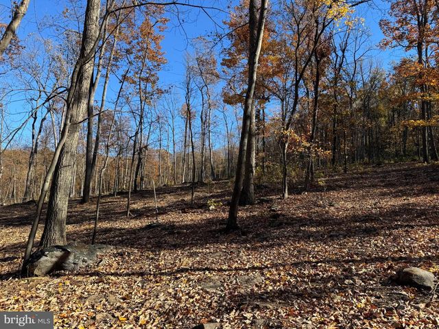 0 DIGGING BEAR LN, Hillsboro, VA 20132