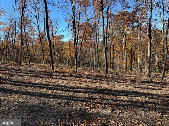 0 DIGGING BEAR LN, Hillsboro, VA 20132