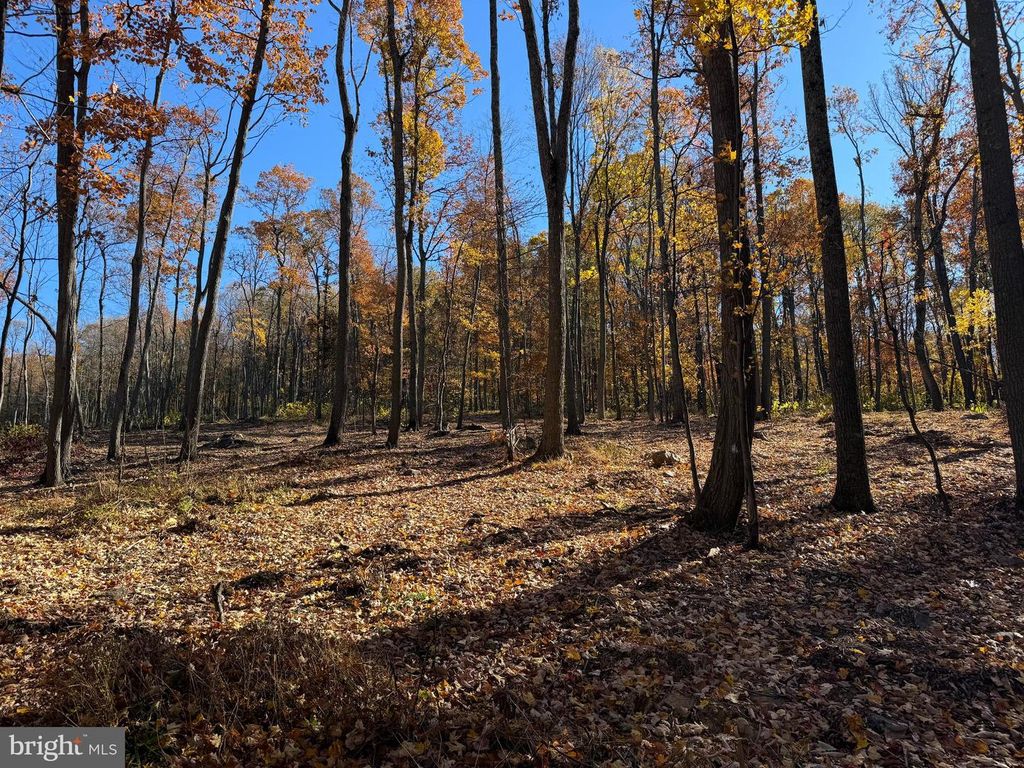 0 DIGGING BEAR LN, Hillsboro, VA 20132