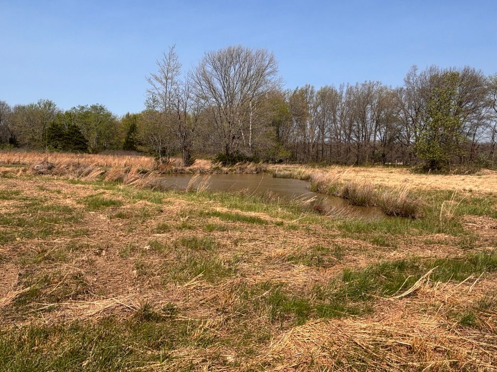 Image 44 of property listing at 15662 E Nolan Road, Mt Vernon, IL 62864