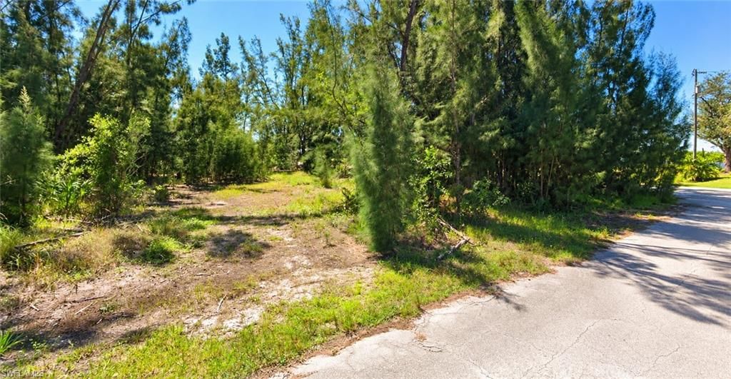 4244 NW 25th ST, CAPE CORAL, FL 33993 — photo 2