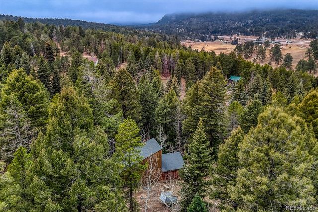 12096 Elk Trail Road, Conifer, CO 80433
