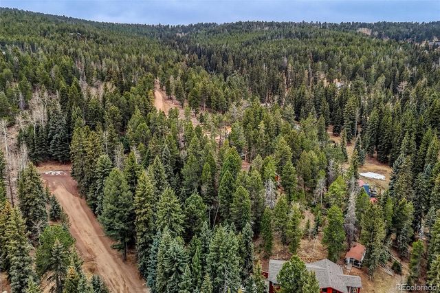12096 Elk Trail Road, Conifer, CO 80433