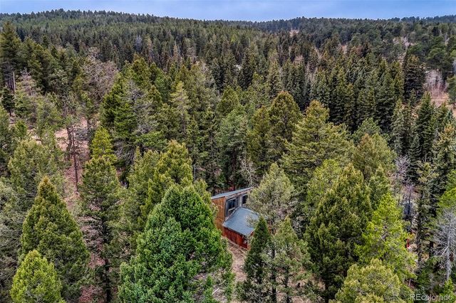12096 Elk Trail Road, Conifer, CO 80433