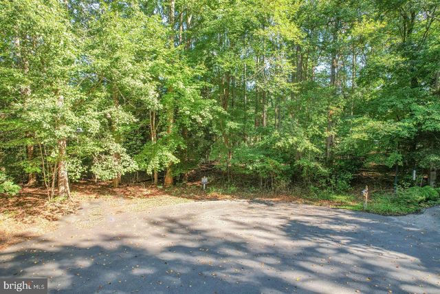 LOT 22 WOOD DUCK COURT - CAROLINA, Dagsboro, DE 19939