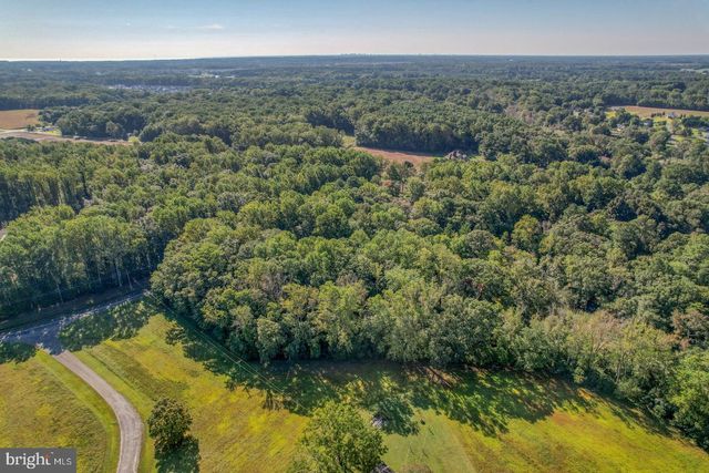 LOT 22 WOOD DUCK COURT - CAROLINA, Dagsboro, DE 19939