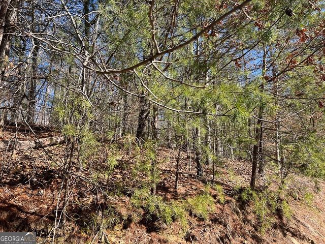 LOT 19 Mission Ridge, Hayesville, NC 28904