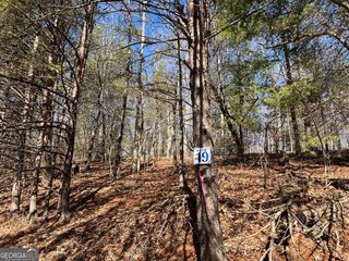 LOT 19 Mission Ridge, Hayesville, NC 28904