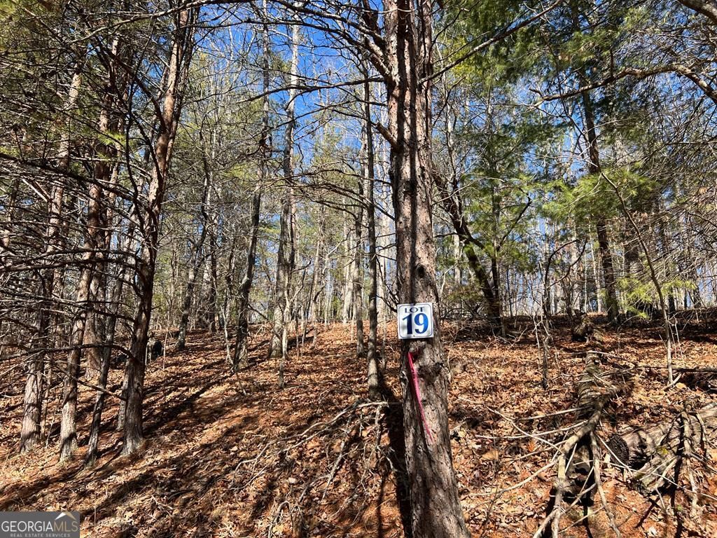 LOT 19 Mission Ridge, Hayesville, NC 28904