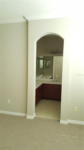 19231 STONE HEDGE DRIVE, Tampa, FL 33647