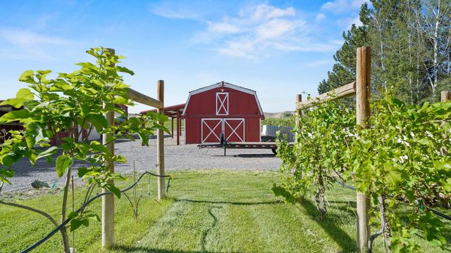 3339 C Road, Palisade, CO 81526