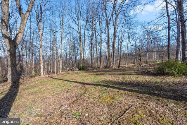 17641 RAVEN ROCKS RD, Bluemont, VA 20135