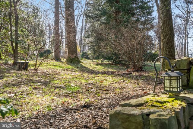 17641 RAVEN ROCKS RD, Bluemont, VA 20135