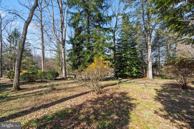 17641 RAVEN ROCKS RD, Bluemont, VA 20135