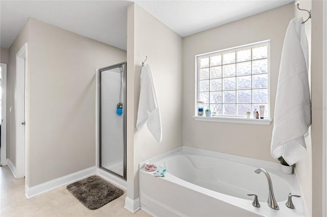 4415 TALL PINES LANE, Middleburg, FL 32068