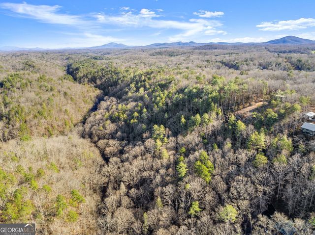 0 River View Lot 12 Trail W, Dahlonega, GA 30533