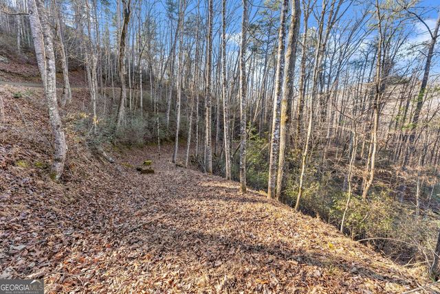 0 River View Lot 12 Trail W, Dahlonega, GA 30533