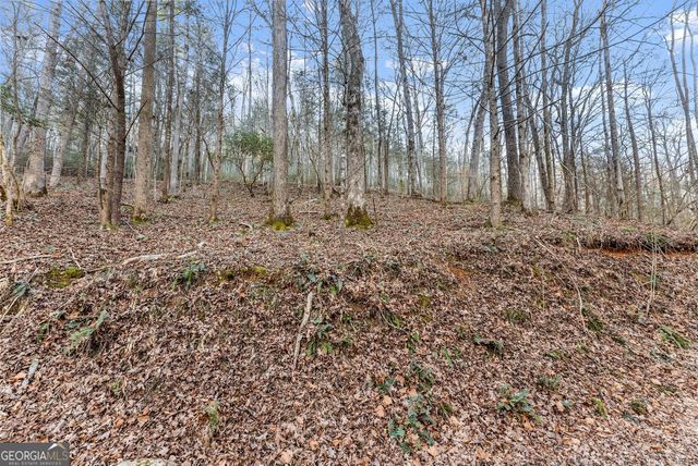 0 River View Lot 12 Trail W, Dahlonega, GA 30533