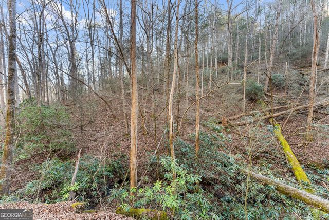 0 River View Lot 12 Trail W, Dahlonega, GA 30533