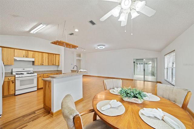 1928 PEACHTREE AVENUE, The Villages, FL 32162