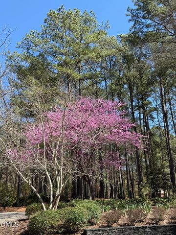7108 Beaver Trail, Apex, NC 27502