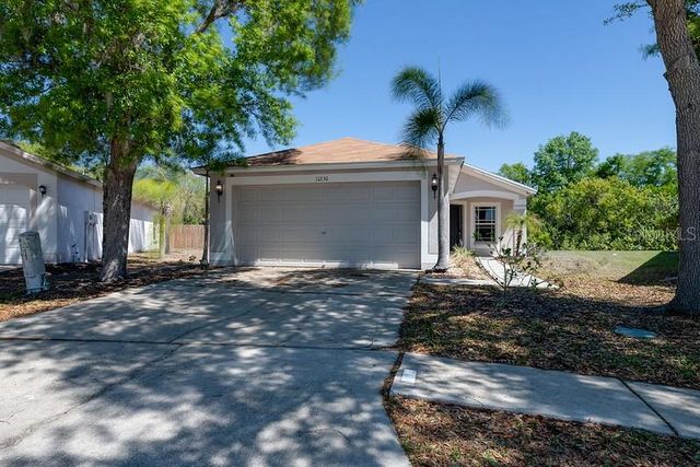 11236 SUMMER STAR DRIVE, Riverview, FL 33579