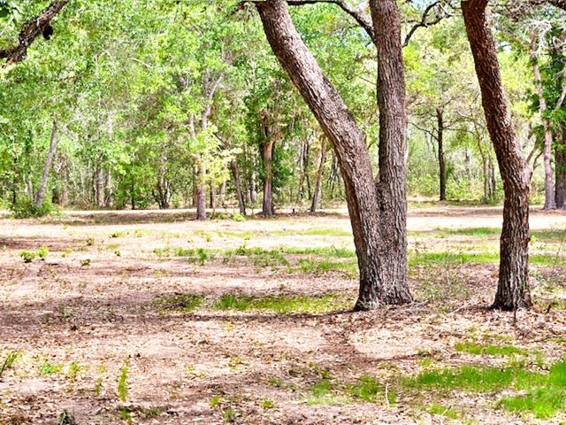 1032 Reeves Road, Garwood, TX 77442