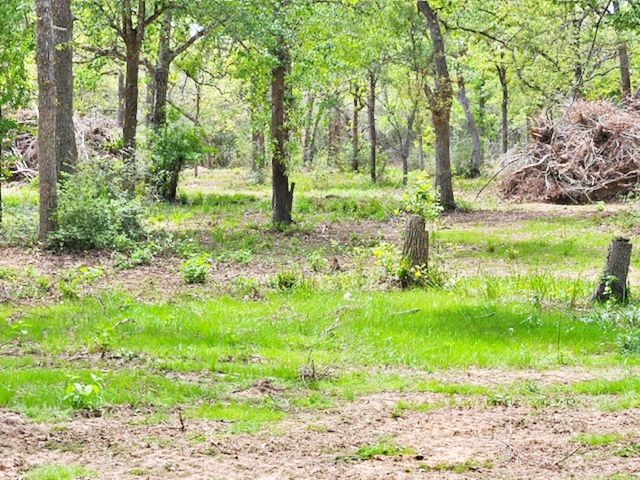1032 Reeves Road, Garwood, TX 77442